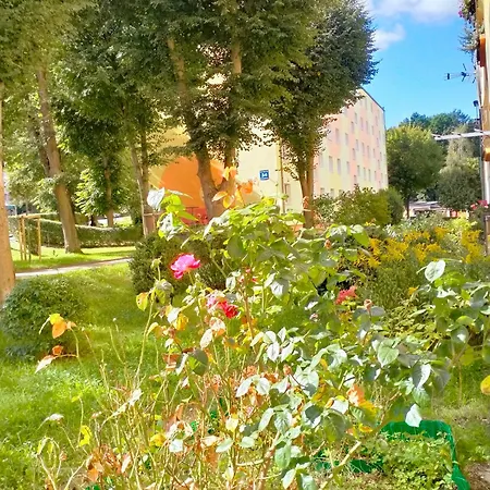 Duze Mieszkanie - 3 Pokoje Na Parterze Dla Max 6 Osob